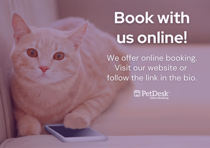 Carousel Slide 2: Online Booking Cat